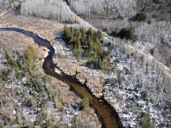 Porky Ln, White Lake, WI 54491