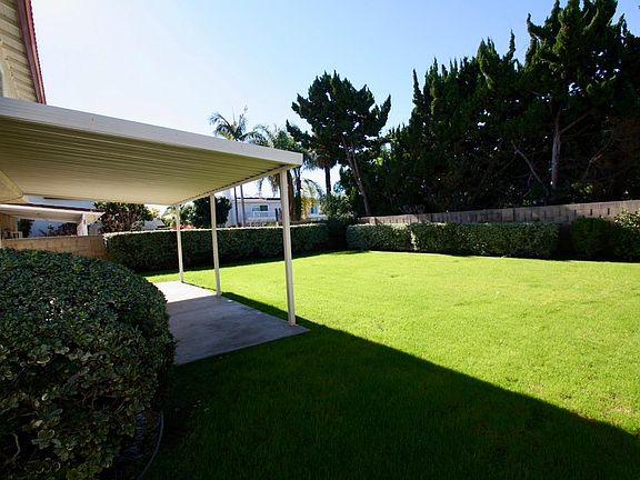 Backyard facing back wall