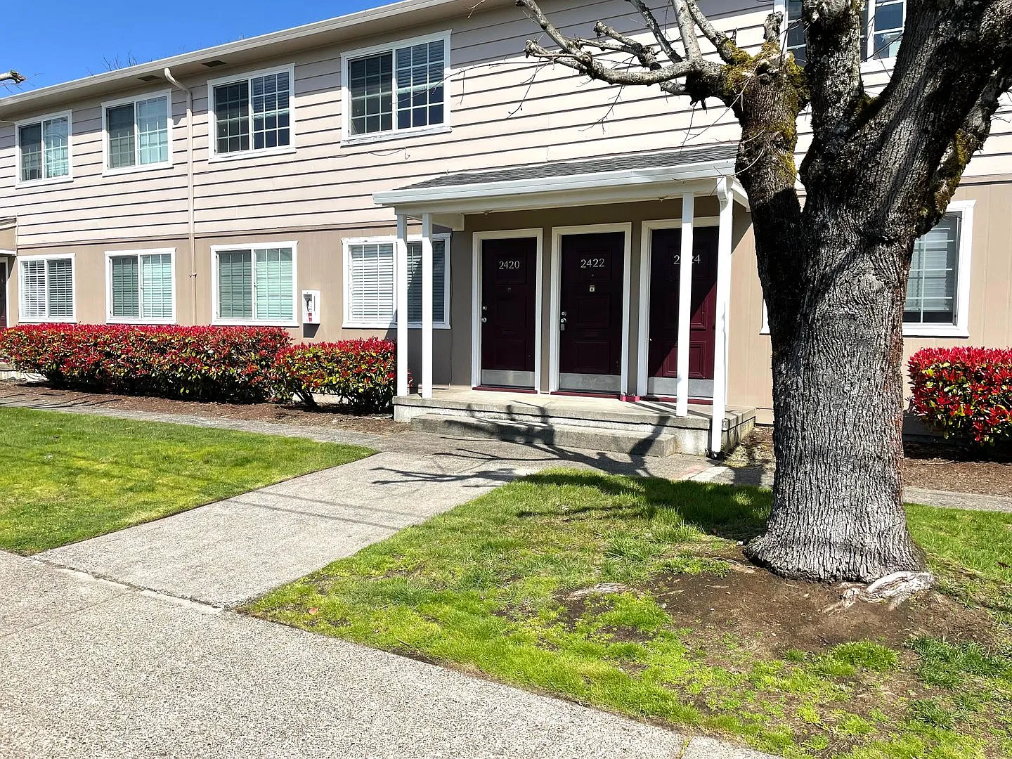 C2402 - Maple Court Apartments — Photo 3