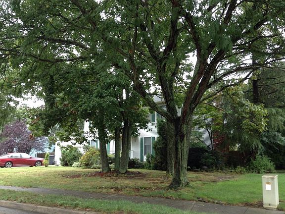 3rd image of 882 Derry Dr