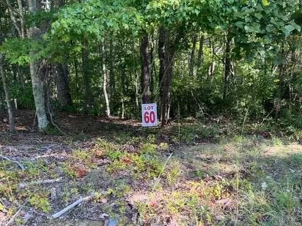 Lts 61 & 62 Honeysuckle Way, Ellijay, GA 30540