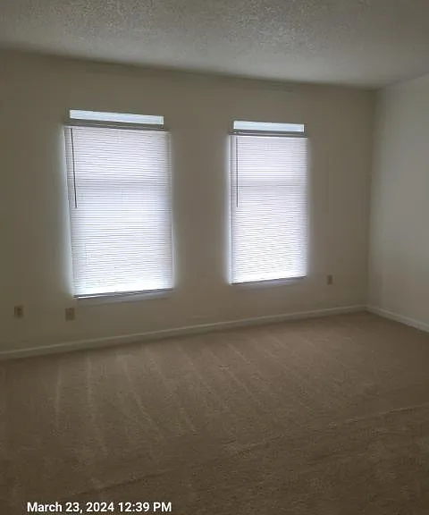 1312 14th Ave S #5 — Photo 5
