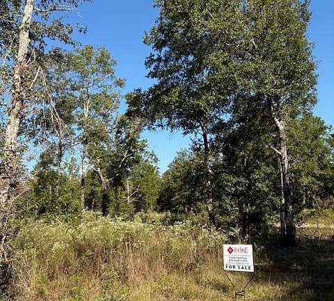 2nd image of 48 Howlin Rd