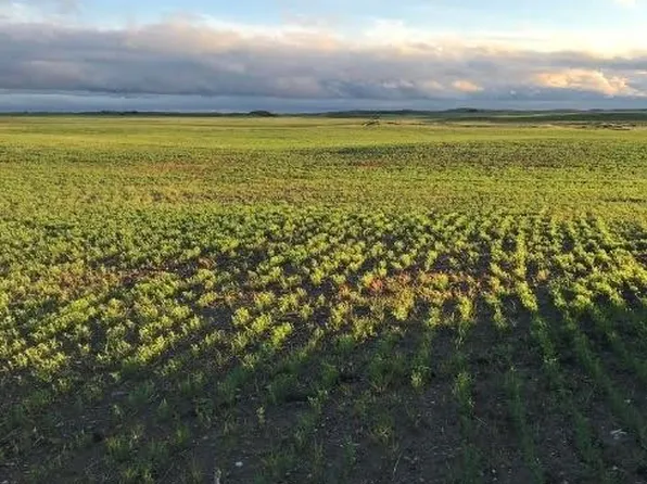  Rural Address, Craik Rm No. 222, SK S0G 0R0