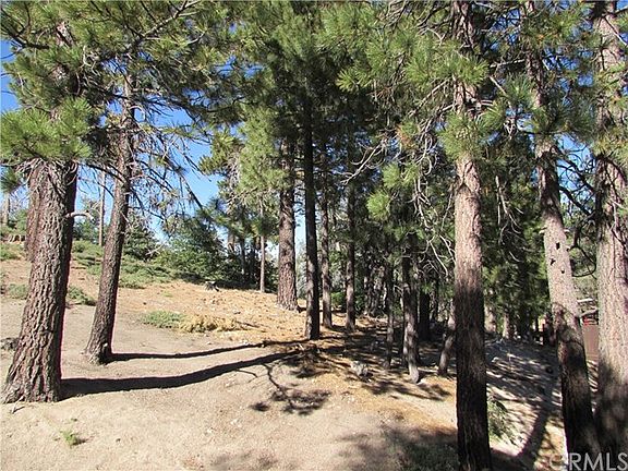 5th image of 33284 Holcomb Creek Dr