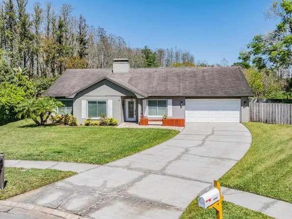 12215 Snead Pl, Tampa, FL 33624