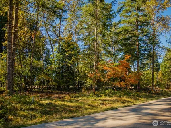 122 Bugle Lane, Packwood, WA 98361