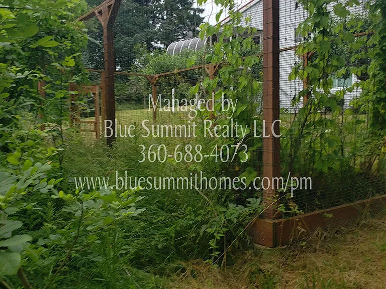 4848 Sleater Kinney Rd NE — Photo 24