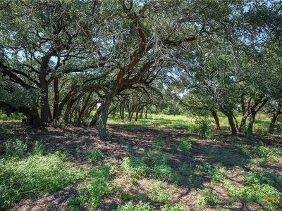 Tbd Fm 2412, Gatesville, TX, 76528