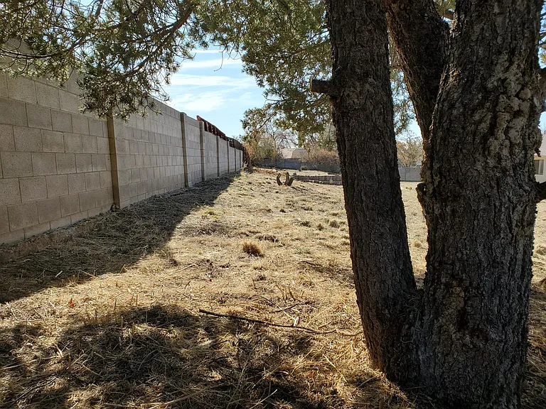 east concrete wall