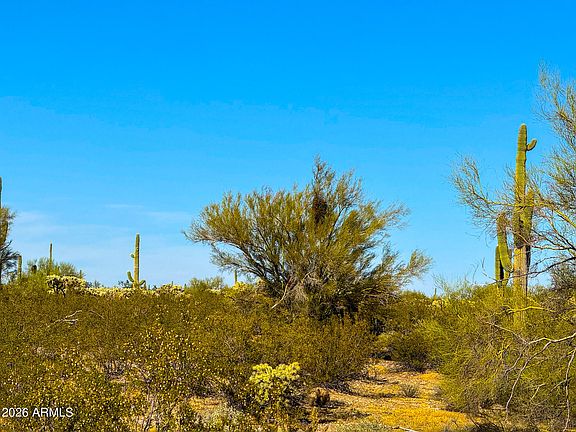 5th image of 0 E Annadale Rd 5 Acres -- #-