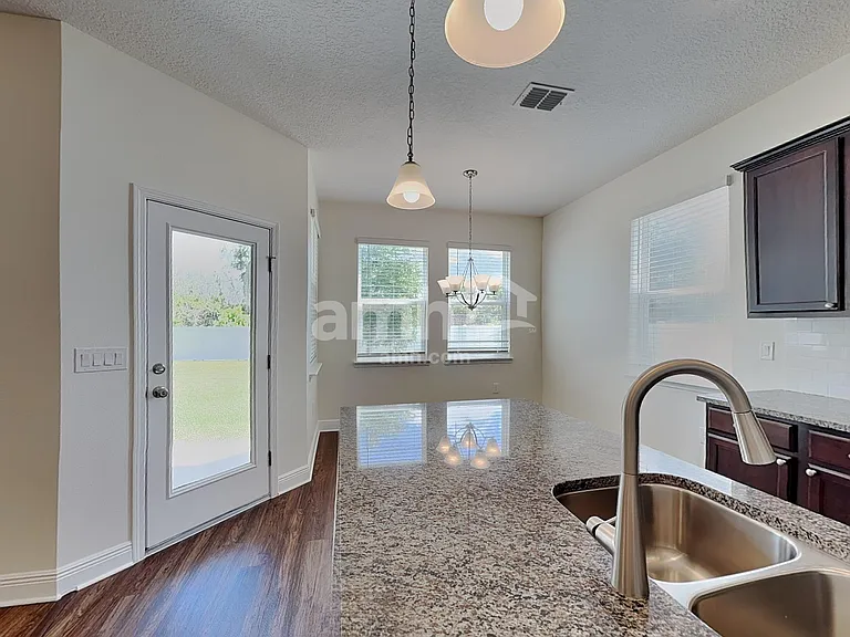 1367 Celery Palm Cv — Photo 4