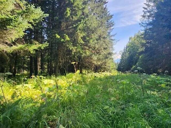 Nka Mallard Way, Homer, AK 99603