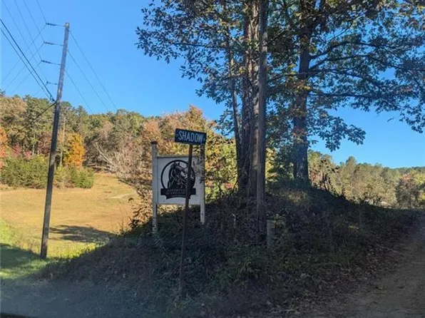 26.89 Shadow Ln #26.89, Blue Ridge, GA 30513