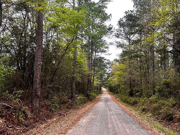 5th image of Cawthon Rd