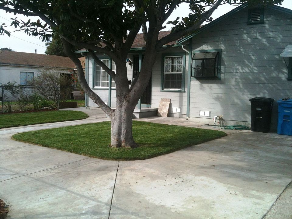 1st image of 1331 Hollyburne Ave