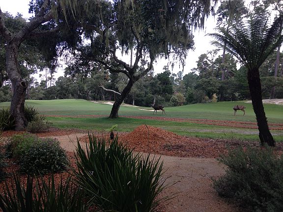 View of the New Dunes Course from the Back Deck