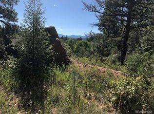 30919 Bear Cub Trl, Conifer, CO 80433