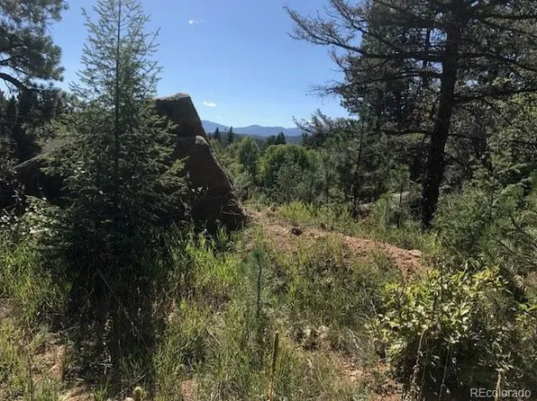 30919 Bear Cub Trl, Conifer, CO 80433