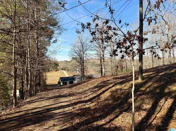 1609 Annie Lee Rd, Trussville, AL 35173