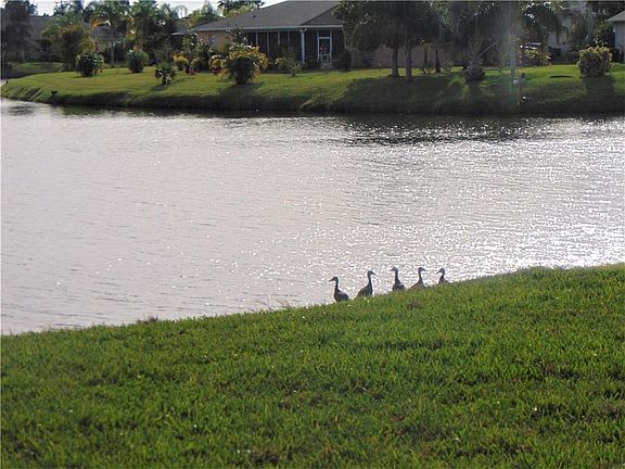 4th image of 1318 Scarlet Oak Cir