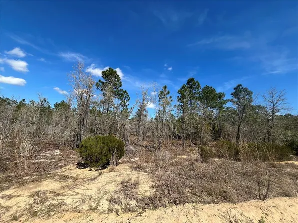 104 Himalayan St #17, Interlachen, FL 32148