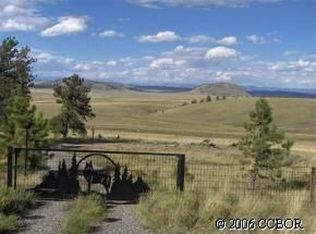 3655 Campfire Rd, Hartsel, CO 80449