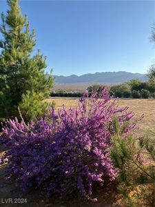 391 Steven Ave, Pahrump, NV, 89060