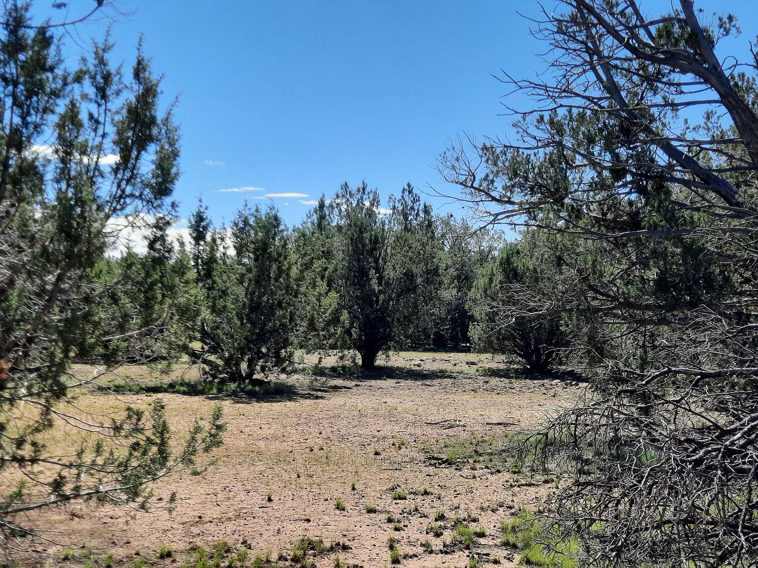 LOT 27 Our St Seligman AZ 86337 Zillow