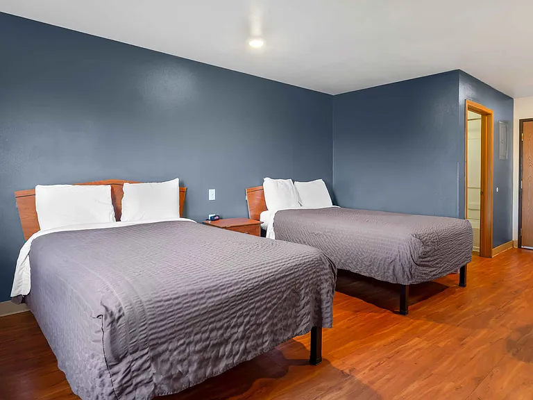 Studio Suite - 2 Full Beds