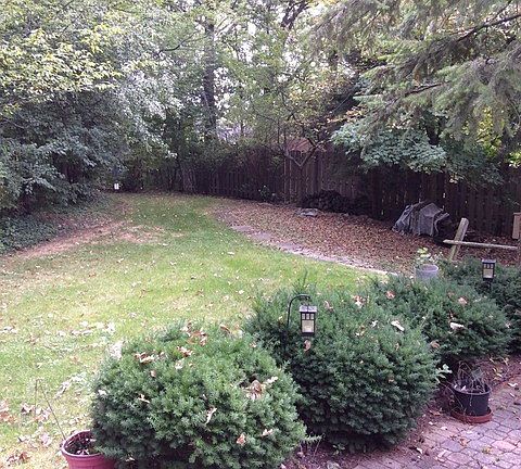 5th image of 12923 Westgate Dr