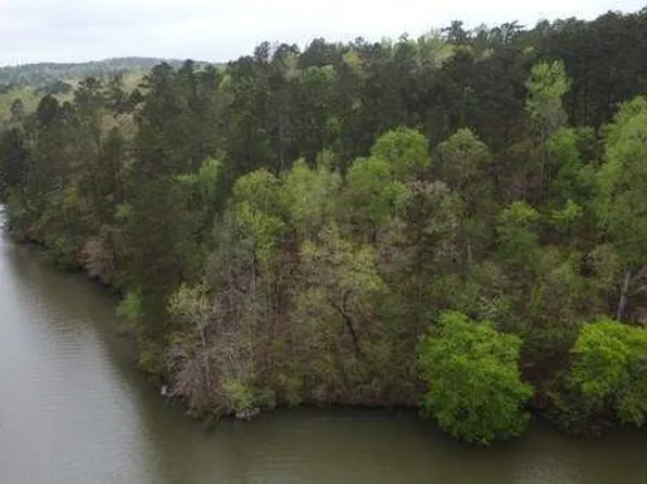 1 Frontier Shores Rd, Sparta, GA 31087