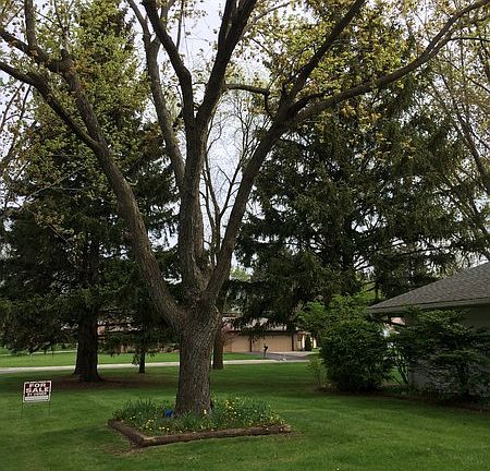 5th image of W238N6440 Elmwood Ave