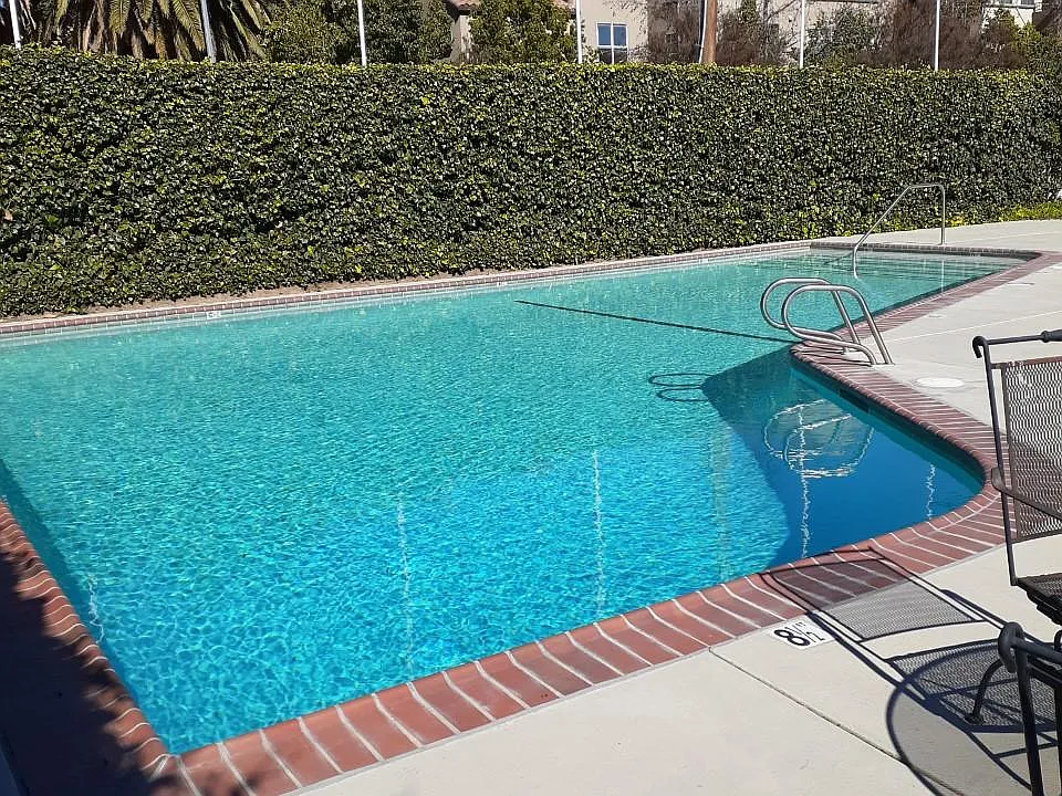 sparkling pool