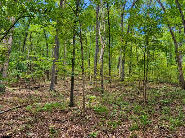 0 Perry Rd, Golconda, IL 62938