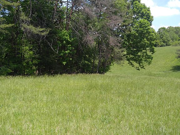 4th image of 7906 Walkover Dr