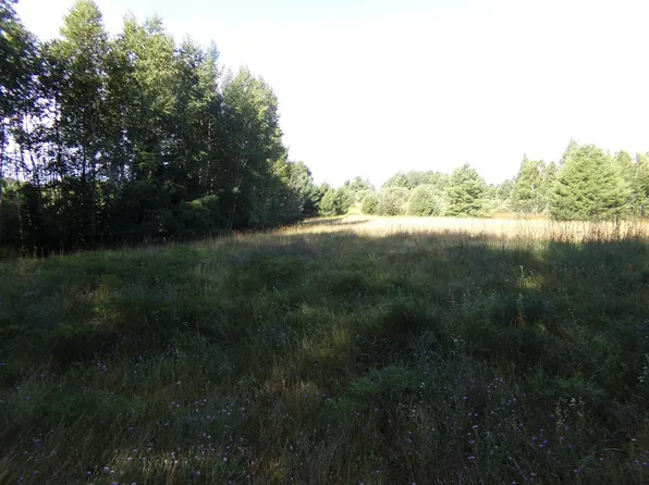 7581 S Marsik Rd Lot 2, Lake Nebagamon, WI 54849