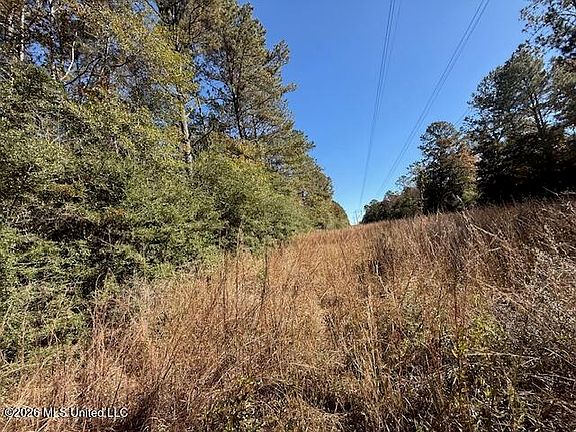 4th image of Hammond Sylvest Rd