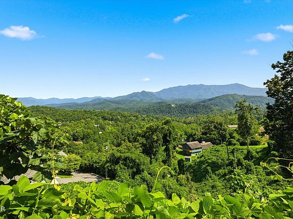 4th image of 812 Beanstalk Ct Lot 43
