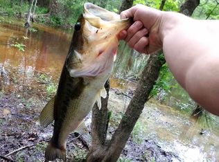 6 Fm 1848, Buffalo, TX 75831