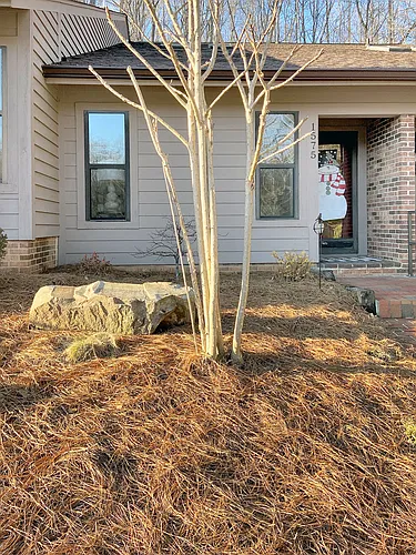 1575 Ivy Trce Photo 1