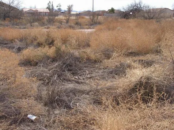 11119 W Carousel Dr, Arizona City, AZ 85123