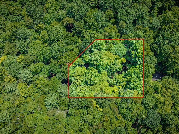 2nd image of 13 Black Bear Dr