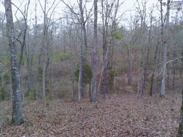 3200 Driftwood Point Rd, Gilbert, SC 29054