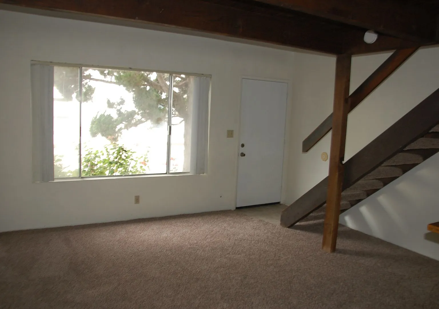 235 — Photo 2