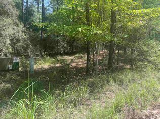 34301 Senita Dr, Brookeland, TX 75931