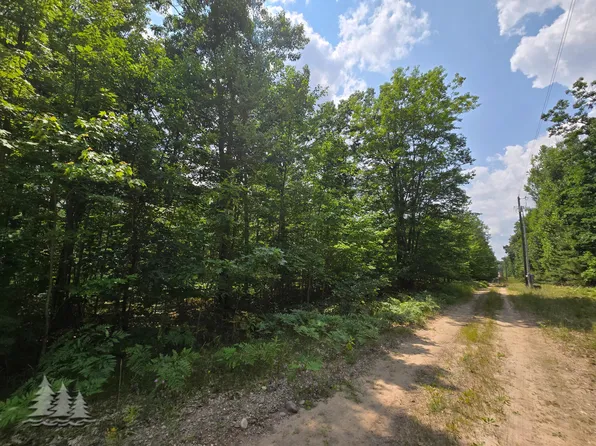 4694 Oakwood Dr, Lewiston, MI 49756