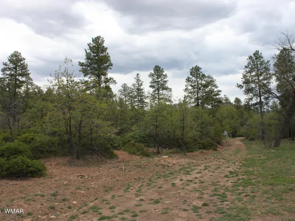 6260 Indian Hill Ln, Show Low, AZ 85901