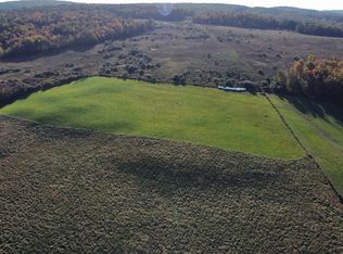 250 Gardner Rd, Vestal, NY 13850