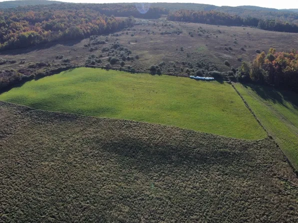 250 Gardner Rd, Vestal, NY 13850